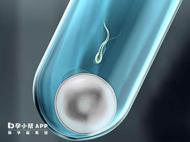 经期减肥食谱一周瘦10斤科学减肥 经期的减肥食谱