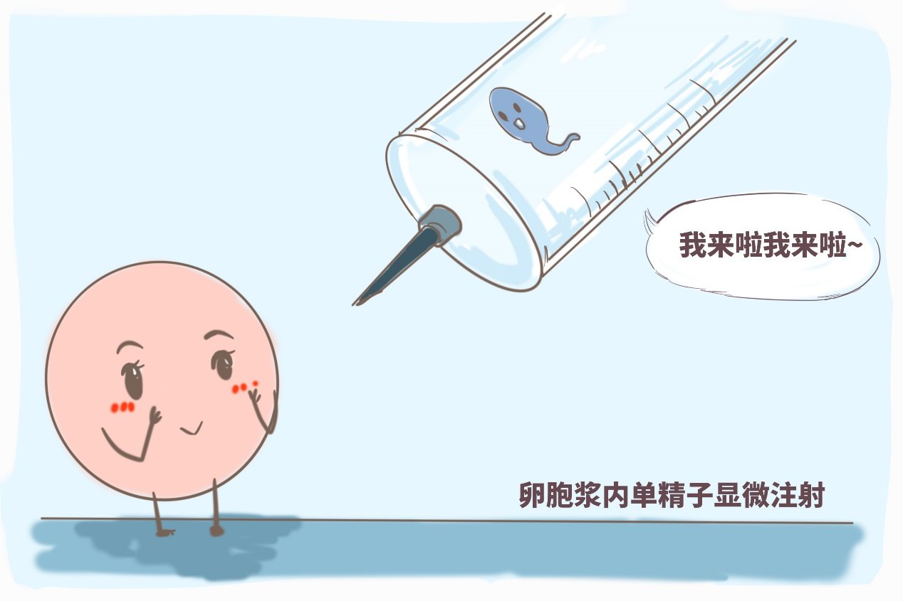 易孕体质太恐怖了 容易受孕的女人的特点